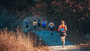 Photo of cross country runners