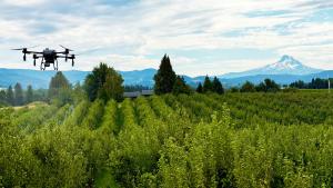 Agricultural drone spraying an orchard in Hood River